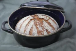 BK Fortalit Braadpan Ø 22 Cm / 2L - Emaille - Inductie -Keukenpotten Winkel 1200x800 218