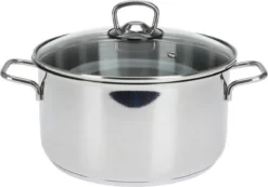 KOOPMAN Roestvrijstalen Pan 4,5 Liter - Met Glazen Deksel