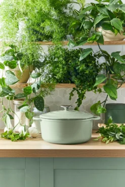 Tefal LOV Braadpan - 5L - Ø25 Cm - Groen -Keukenpotten Winkel 800x1200 33