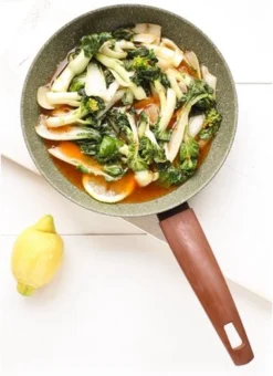 TVS Natura Induction Wokpan - Wok 28 Cm -Keukenpotten Winkel 872x1200 1